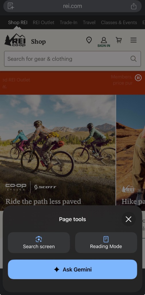Chrome mobile on REI website showing Page tools panel with Ask Gemini button